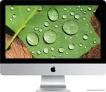 Apple iMac 21.5